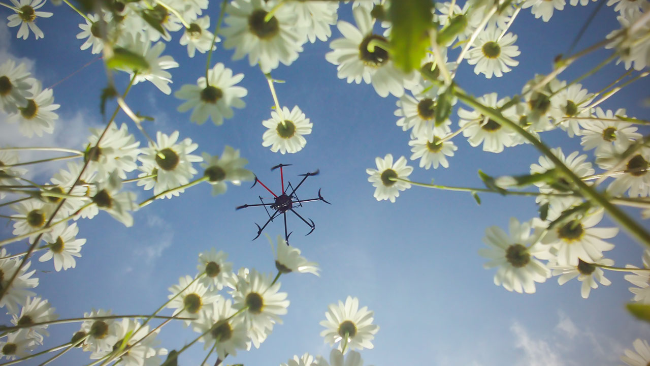 Ungewöhnliche Perspektiven – Robotic Air kreativ